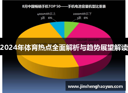 2024年体育热点全面解析与趋势展望解读